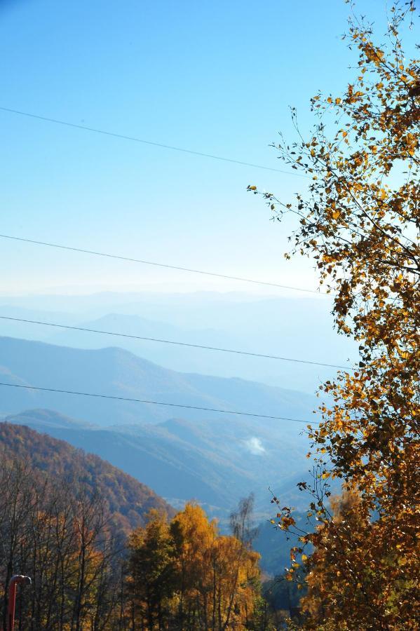 Apartmani Krstojevic Kopaonik Exteriör bild